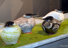 Fidrio kwam onder andere met een aantal nieuwe glazen vogeltjes.