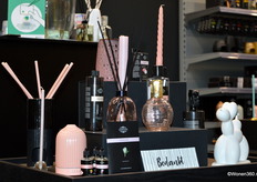 ScentChips is een huisgeurenmerk dat in 2011 begonnen is met waxmelts. Daarna is het assortiment steeds verder uitgebreid. Tegenwoordig bieden ze een complete set geurproducten voor thuis. 