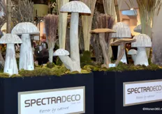 De nieuwe producten van Spectra Deco schieten als paddenstoelen uit de grond...