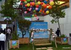 Niet alleen de collecties waren kleurrijk, ook de gangpaden zagen er zomers uit.