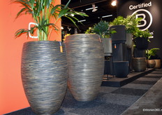 Sinds kort is Capi Europe B Corp gecertificeerd.