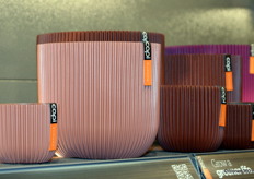 Tevens werd de kleur roze toegevoegd aan het indoor assortiment.