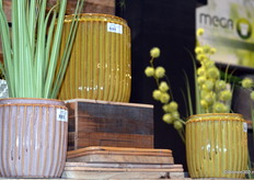 Noviteiten van Mega Collections.