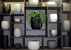 Bij Luca Lifestyle merken ze dat grote potten in de smaak vallen. Ook binnen de nieuwe collecties is hier rekening mee gehouden.