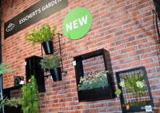 Esschert Design is gespecialiseerd in het ontwikkelen van collecties gerelateerd aan tuinieren en natuur.