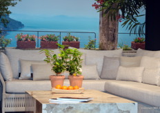 Eén van de eyecatchers van Tierra Outdoor.