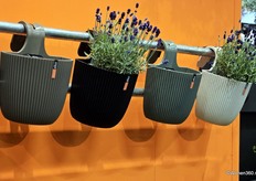 Voor het eerst lanceerde Capi Europe balkonbakker (gemaakt van gerecyclede materialen).