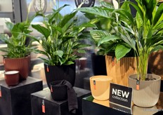 De indoor collectie is ook verder uitgebreid. Van gerecycled rijstvlies worden nu de kleuren taupe en peach gemaakt.