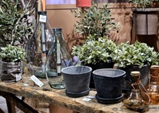 Esschert Design heeft het overgrote deel uit de verschillende assortimenten zelf ontwikkeld en laat deze in opdracht produceren. 