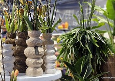 Collectie Berber van Luimes & Luimes.