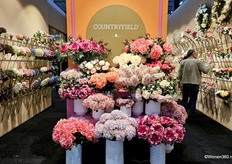 Ook werden de zijdebloemen van Decostar extra in de spotlight gezet.