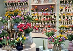 De voorjaarscollectie van Decostar kent verschillende vrolijke thema's.