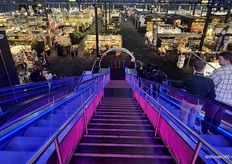 TrendZ Najaar zal op zondag 24, maandag 25 en dinsdag 26 augustus 2025 gehouden worden.