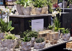 Hendriks Deco toont zijn assortiment in eigentijdse woondecoraties aan het publiek en zoekt tegelijkertijd een nieuwe verkoper om het team te versterken.