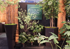 Na 15 jaar is Colours and Green nog steeds een vaste waarde op de vakbeurs.