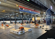 Op dinsdagmorgen 23 september, waren studenten van de BBL-opleiding Interieurvakman - bezig om hun talent te laten zien tijdens deze wedstrijd en meer bekendheid te geven aan dit vak.