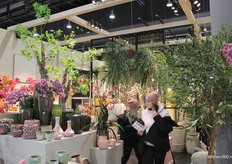 Hoge, lage, brede en smalle vazen bij PTMD.