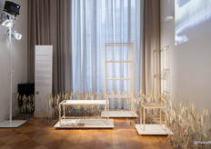 Releaf® (geproduceerd door Avantium) is een plantaardig plastic gemaakt van hernieuwbare grondstoffen. Samen met designstudio Hoogvliet Jongerius wordt de schoonheid en het artistieke potentieel van dit duurzame materiaal onderzocht.