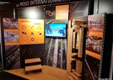 Moso International uit Zwaag is specialist op het gebied van bamboe.