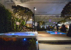 Sfeerfoto van de gepresenteerde jacuzzi en zwembaden.