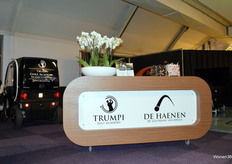 Bezoekers konden een balletje afslaan bij de gesimuleerde green. Samenwerking van Trumpi en De Haenen.