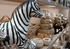 Weet je waarom een zebra strepen heeft?