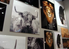 Dit is glashelder: een beestenboel.