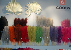 Droogbloemen in alle kleuren van de regenboog.