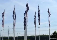 Onder een blauwe lucht wapperden de vlaggen en verlieten bezoekers met een goed gevoel de beurs. Ook de exposanten kijken tevreden terug op twee dagen beurs in Expo Haarlemmermeer.