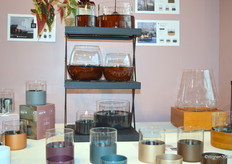 De producten van Tenderflame zijn op te delen in drie categorieën: kleine branders, tafelbranders en haarden.