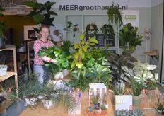 MEERgroothandel.nl levert echte planten, bijna echte planten en nepplanten. Online kunnen klanten kiezen uit 5.000 verschillende partijen.