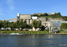 Alle bezoekers kregen de kans om deel te nemen aan de Powerboat-ervaring. Met ruim 60 kilometer per uur vloog de boot over de Maas.