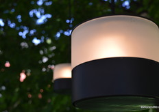 De GLOW is te verkrijgen per drie of vijf stuks.