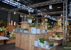 Hendriks Deco is ontstaan als onderdeel van Hendriks Bloemen (opgericht in 1979). Inmiddels is Hendriks Deco verzelfstandigd en gehuisvest in een modern warenhuis met een opslagcapaciteit van ruim 5000 pallets.