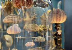 De stolpen zijn ook nog steeds terug te vinden, creatief opgevuld met schelpdieren.