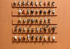 Een vrolijke beestenboel bij Wildlife Garden.