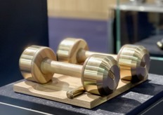 In stijl sporten met deze Dumbbells van Pent.