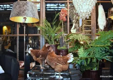 ‘Loslopende’ kippen in de showroom van Dutch Style.