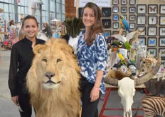 Liz Derks en Emma van Grinsven bij een opgezette leeuw, afkomstig uit de dierentuin uit België. Het merk DMW (De Museum Winkel) is een preparateursbedrijf dat vanuit eigen atelier de beste kwaliteit in opgezette dieren biedt.