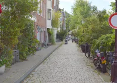 Tijdens de Designroute GLUE Amsterdam kwamen bezoekers op plaatsen waar je normaal niet zou komen. Hier de straat van het atelier van Maria Blaisse.